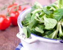 Feldsalat säen - Anleitung und Vorgehensweise