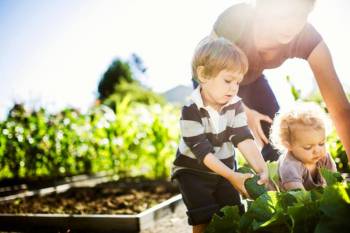 Trend zum Selbstversorger-Garten