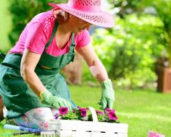 5 hilfreiche Garten Tipps