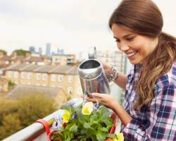 Ideale Pflanzen für den Balkon