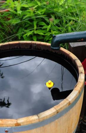 Regenwasser sammeln