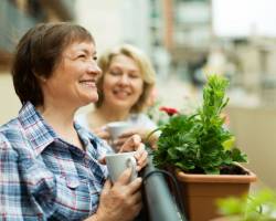 Balkonpflanzen winterhart: 5 geeignete Blumen