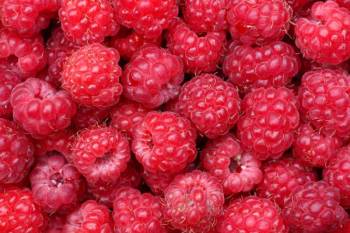 Himbeeren Pflege