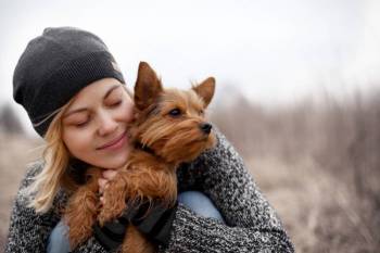 Giftig für Hunde