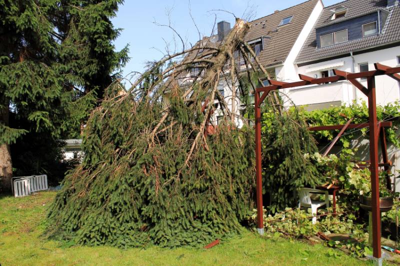 Welche Versicherung zahlt bei Sturmschäden?